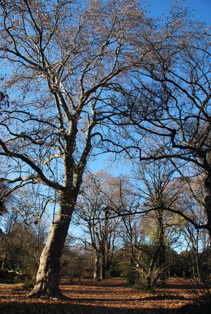 b0174068_22165187.jpg