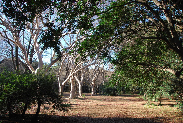 b0174068_2217290.jpg