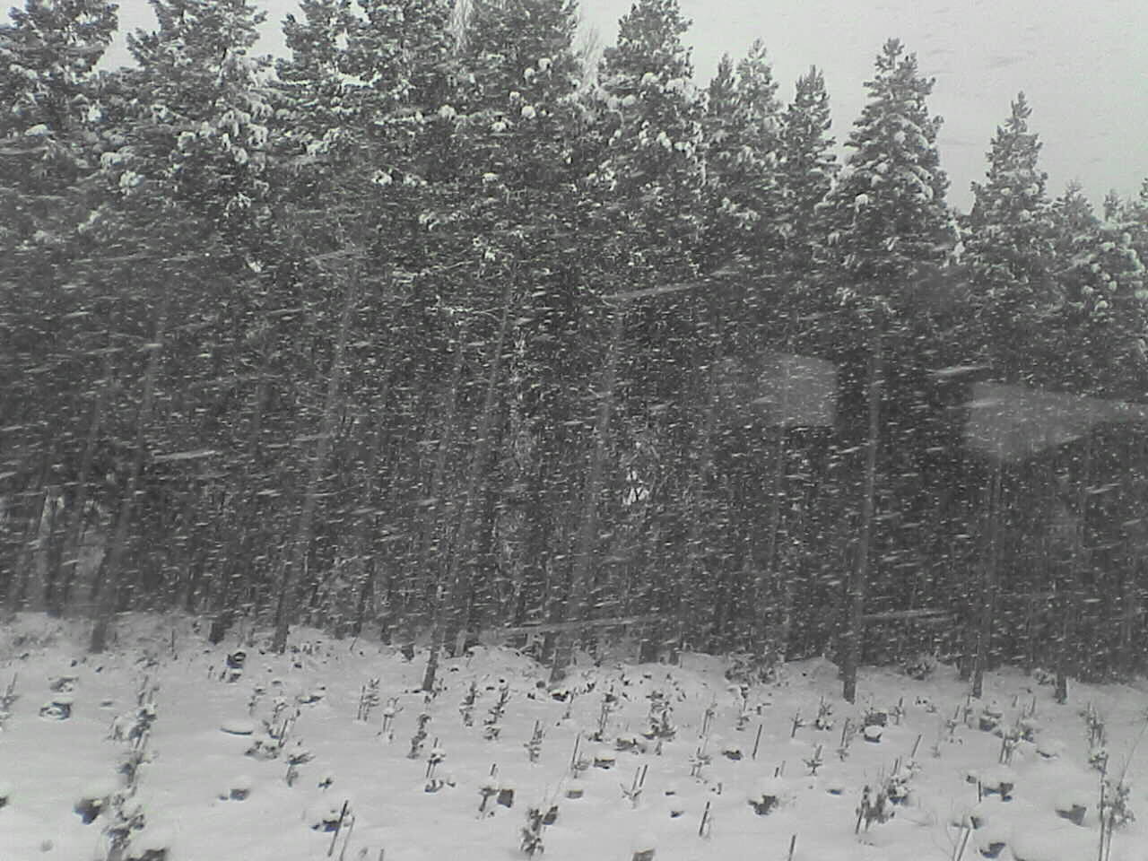 c0069380_111624100.jpg
