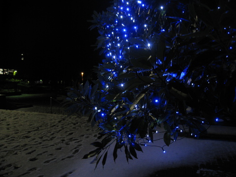 f0232181_0161046.jpg