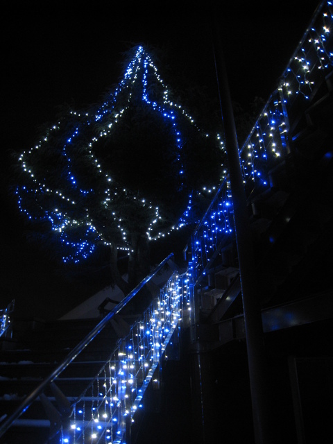 f0232181_0333485.jpg