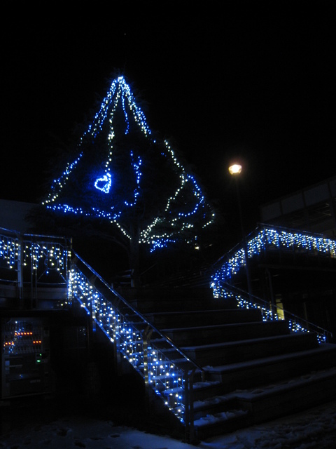 f0232181_033435.jpg