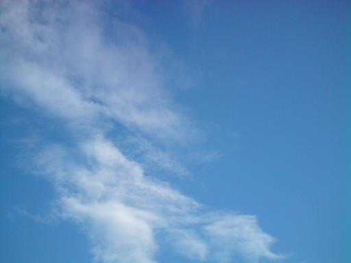 c0122788_16391740.jpg