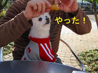 e0121589_20155082.jpg