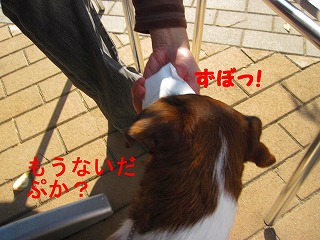 e0121589_20162779.jpg
