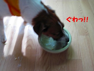 e0121589_23444355.jpg