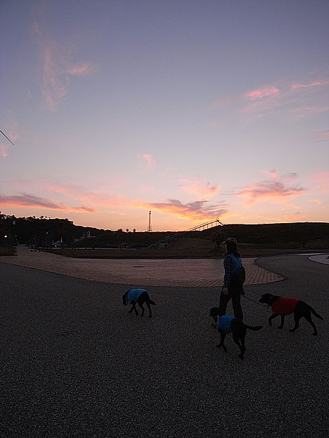 a0093592_0242797.jpg