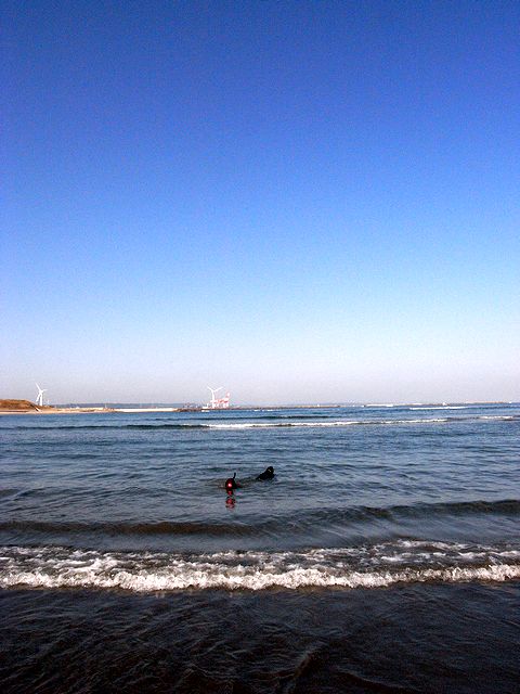 a0093592_1154126.jpg