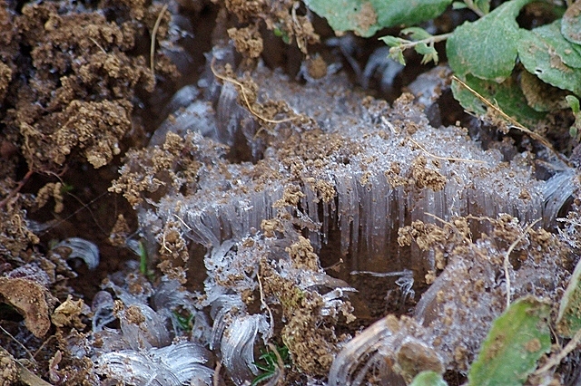 c0125596_2215521.jpg