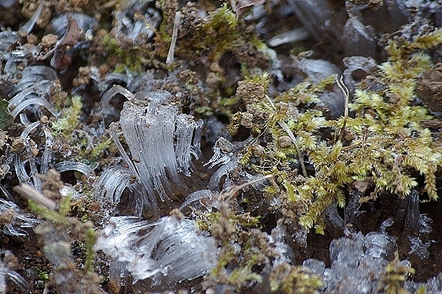 c0125596_2221627.jpg