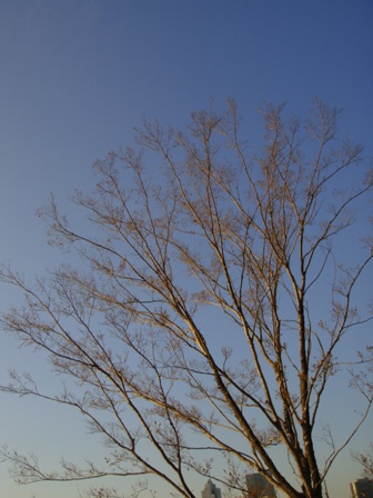 a0167803_1205346.jpg