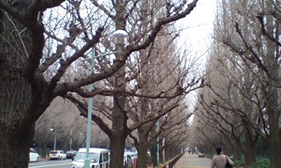 d0054704_045111.jpg