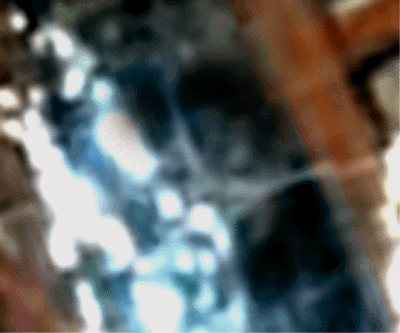 e0103408_15395094.gif