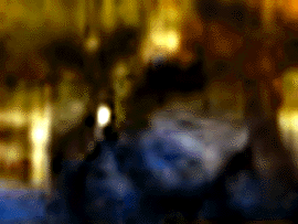 e0103408_1539851.gif