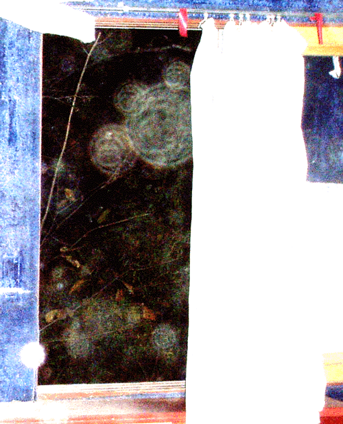 e0103408_19114929.gif