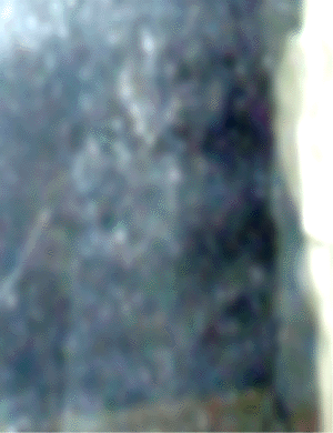 e0103408_1992631.gif