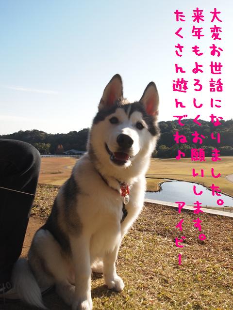 b0207615_23584851.jpg