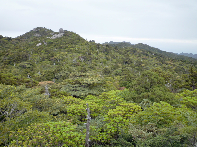 d0170615_9185663.jpg