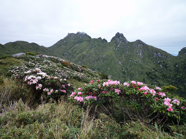 d0170615_9211216.jpg