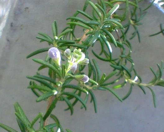 c0097620_21511049.jpg