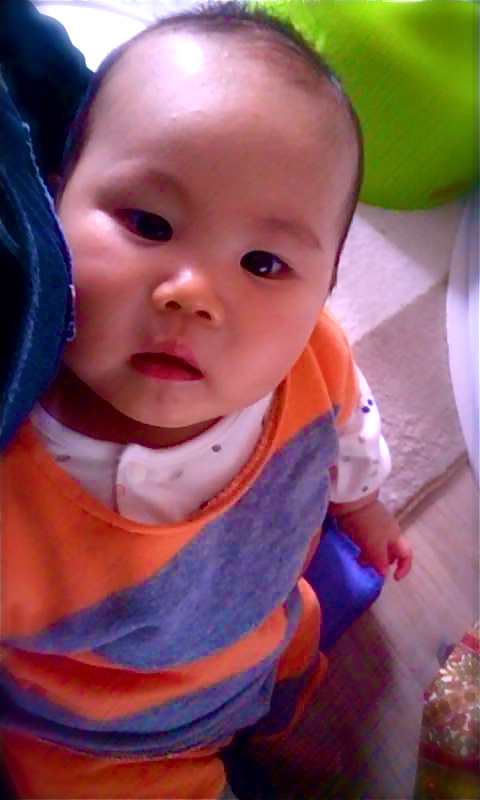 e0171420_13261579.jpg