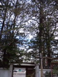 a0123425_23255039.jpg