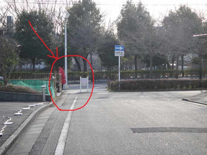 f0208737_826321.jpg
