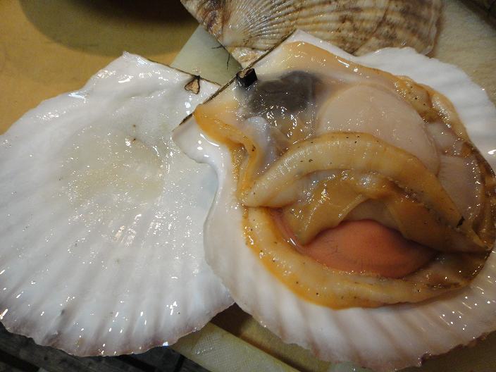 f0208737_928921.jpg