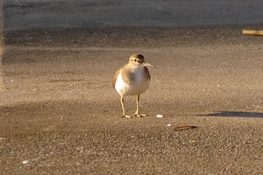 b0043440_12141033.jpg