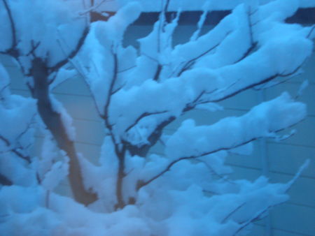 c0153444_8105243.jpg