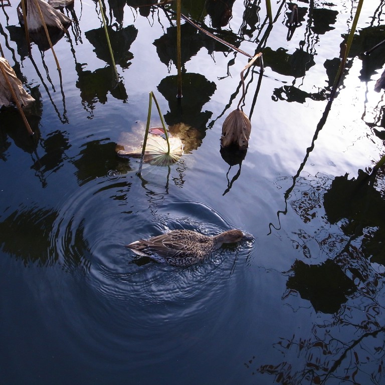 e0009147_224827.jpg
