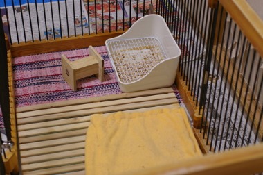 c0145449_20415735.jpg
