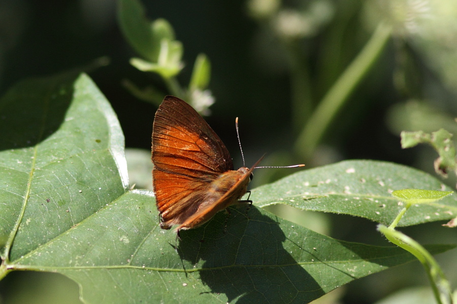 a0094850_529449.jpg