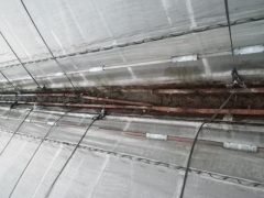 f0055264_23423557.jpg