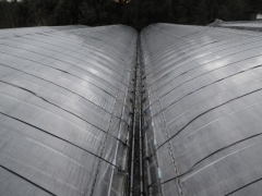 f0055264_2345251.jpg