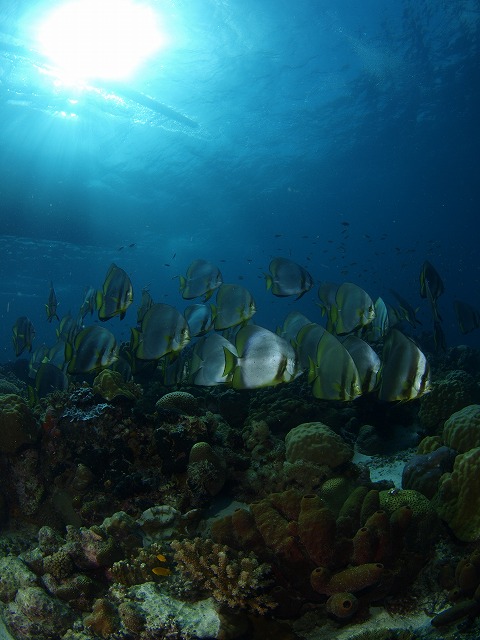 b0138768_173663.jpg