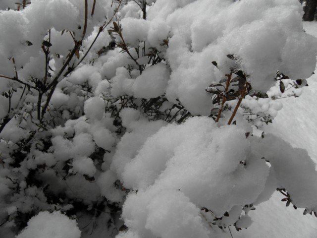 d0134473_14321775.jpg