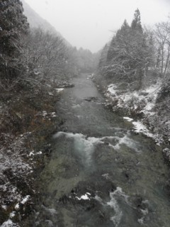 d0134473_14391051.jpg