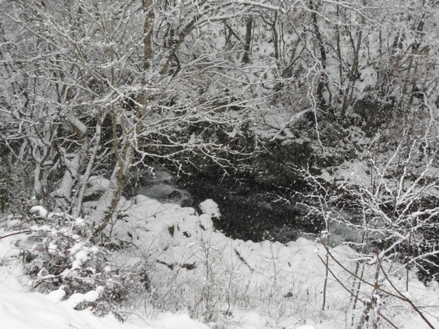 d0134473_14444949.jpg