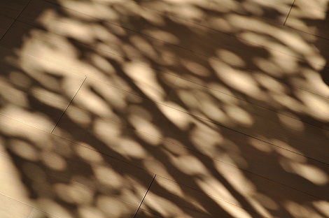 a0152391_1343681.jpg