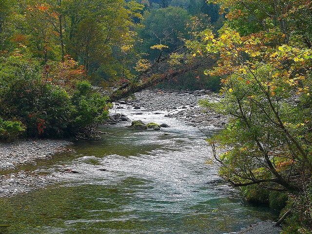 e0202393_170656.jpg