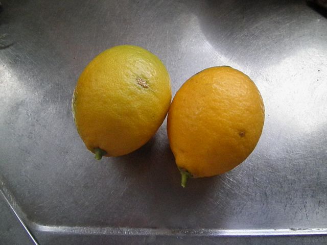 f0130894_2028190.jpg