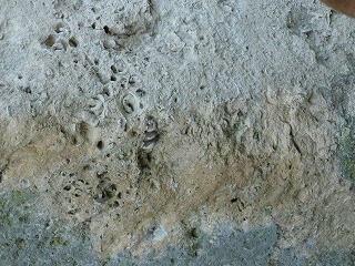 c0077697_2201888.jpg