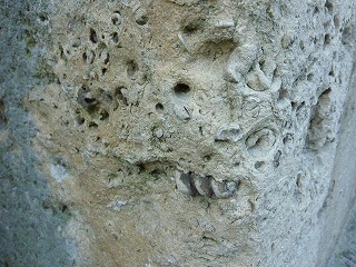 c0077697_220411.jpg