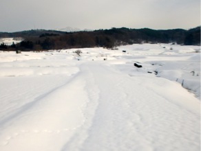 c0151898_100160.jpg