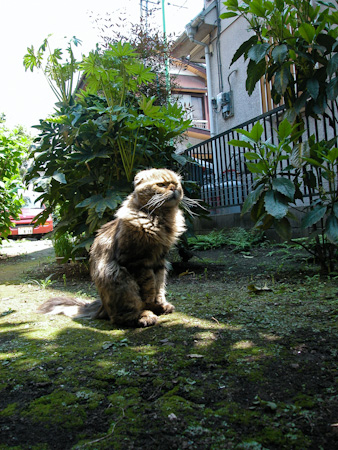 f0239100_9342698.jpg