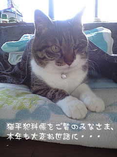 c0035001_174108.jpg