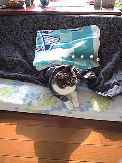 c0035001_174488.jpg