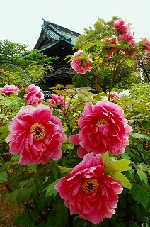 a0169902_12113513.jpg