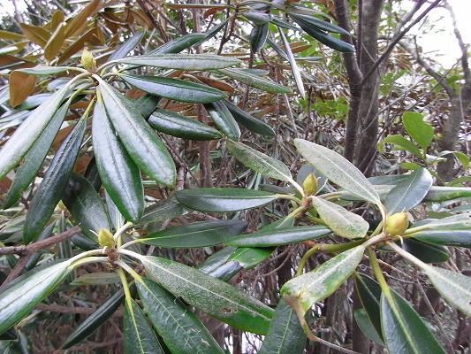 f0187402_12302670.jpg